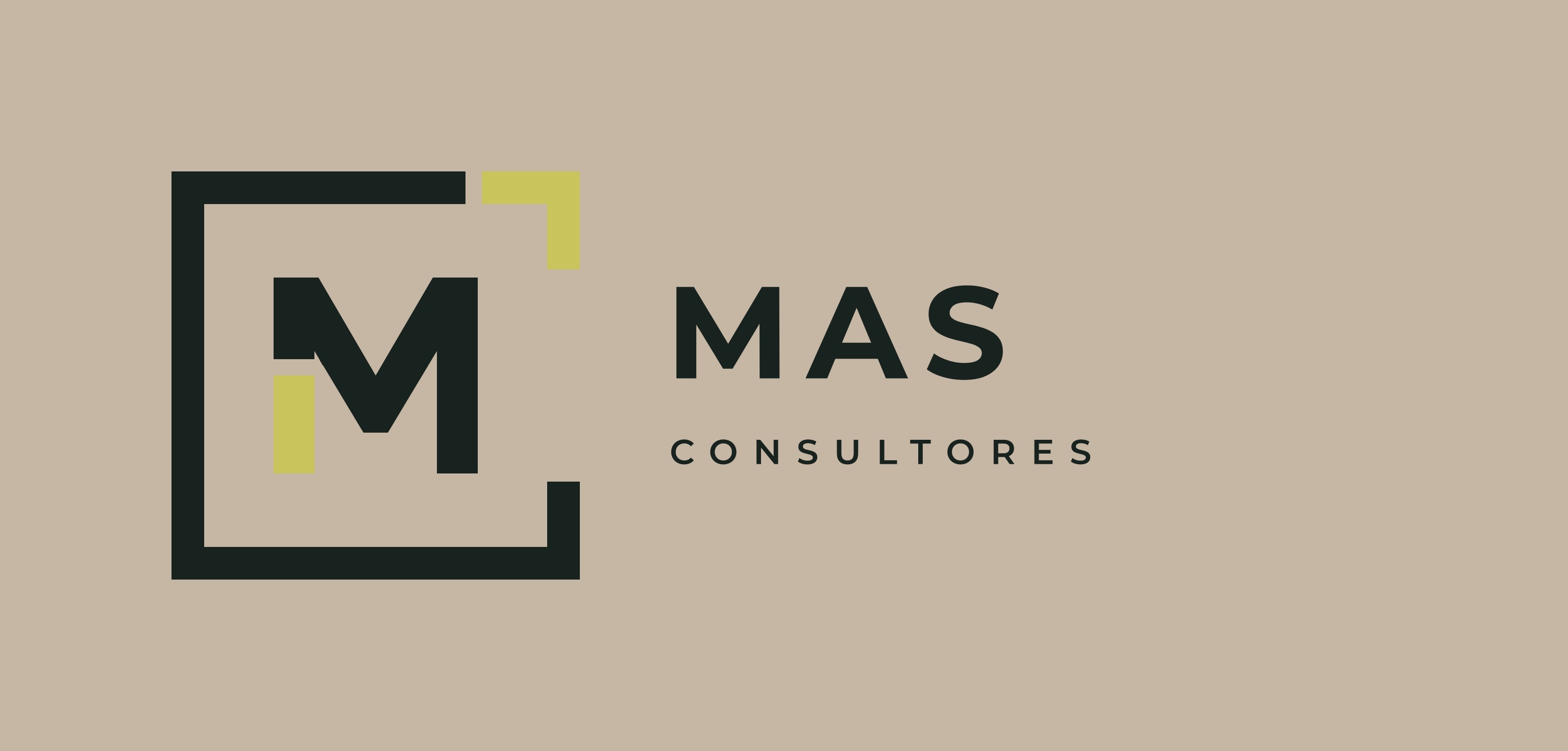 MAS CONSULTORES